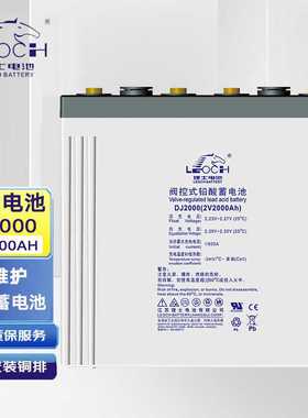 理士蓄电池DJ2000 2V2000AH铅酸免维护直流屏UPS机房电源光伏储能