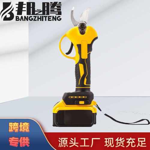 电动修枝剪家用枝剪刀园林充电式果树修剪树多种功能锂电电剪刀