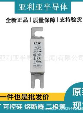 170M1318 170M1319 低压熔断器 熔断器底座 半导体电子元器件