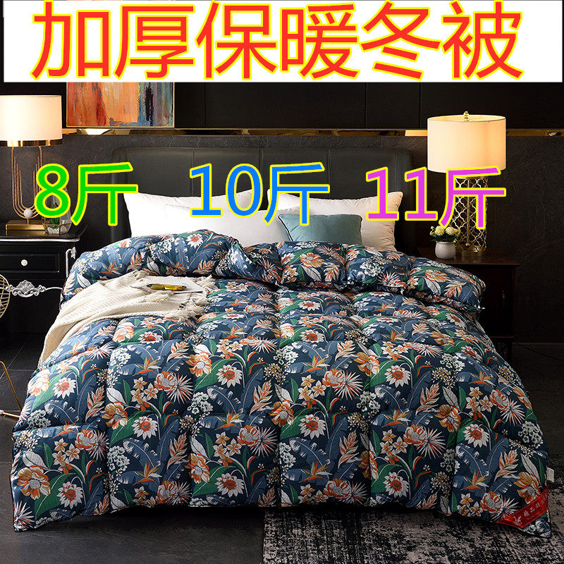 棉被冬被加厚保暖8斤10斤被子冬季  羽丝绒冬被芯单双人被子秋冬