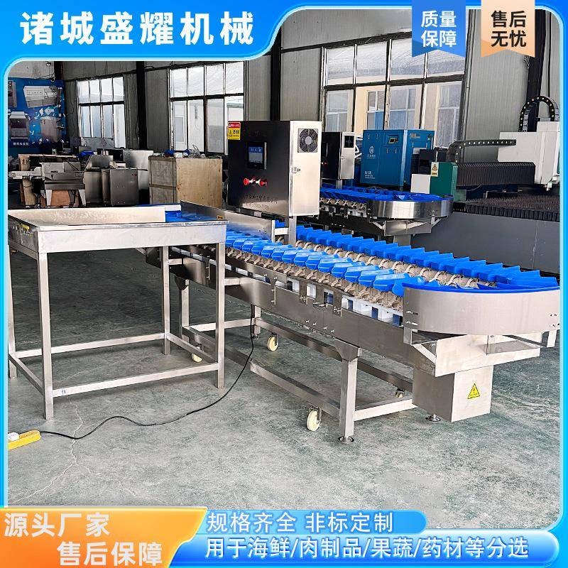 5级贝贝南瓜分选机澳洲龙虾称重分拣机猪脚重量分级机盛耀