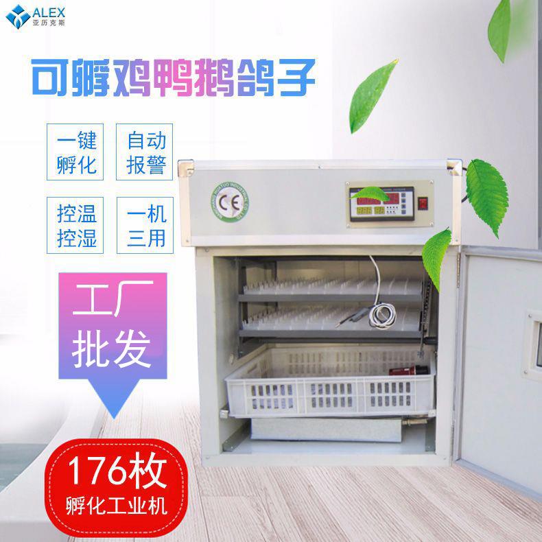 176枚智能孵化器土鸡养殖工业孵化设备一键孵化孵化机incubator