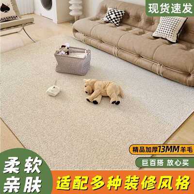 新西兰进口羊毛地毯客厅法式轻奢简约风格奶油风家用沙发地垫满铺