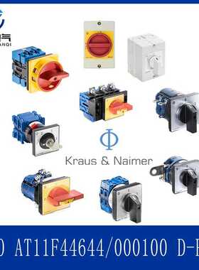奥地利K.N组合开关 CA10 AT11F446 44/000100 D-P236 原装进口货