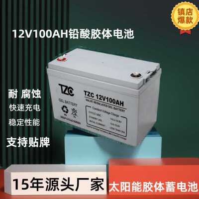 TZC厂家 房车电池12v100ah储能蓄电瓶铅酸蓄电池ups铅碳电池