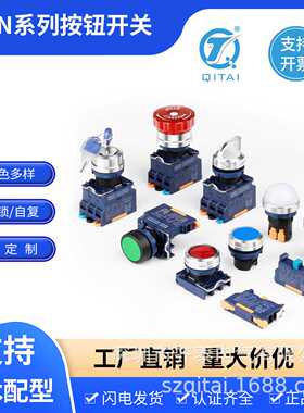 QDN22SA3Y1-Y10Z/CG24V/A2带灯钥匙按钮2档1常开1开1闭触点绿灯