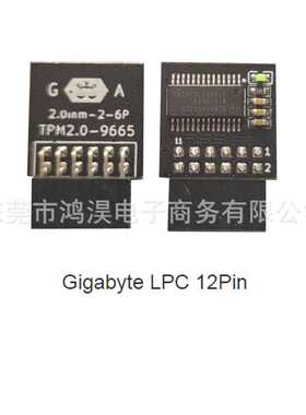GA技嘉LPC 12PIN tpm 2.0远程卡加密安全模块