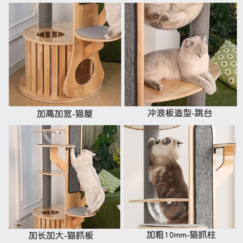 喵赞仙人掌猫爬架猫窝猫树一体网红立式不占地大型太空舱橡胶实木