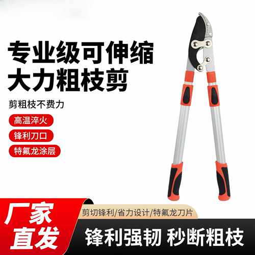 园林工具剪刀修枝剪果枝剪刀剪树枝剪刀大力剪可伸缩鲨齿粗枝剪厂