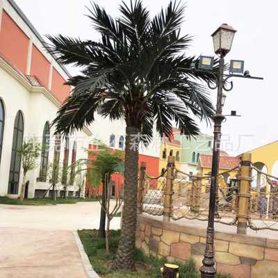 源头厂家人造假树仿真海藻树大型室内外景观树装饰绿植仿真银海枣