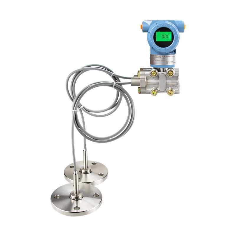 WT-3000RD6S1B04CM3L1/1199FFWSA1B-(12m)B.DN80双法兰液位变送器