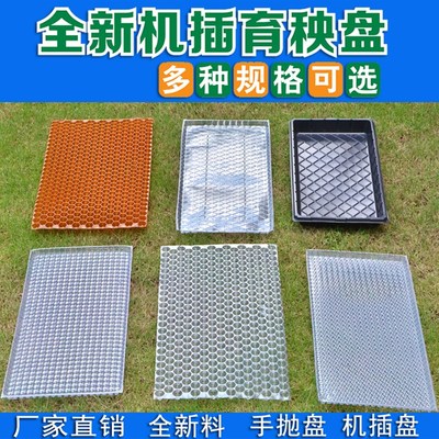 塑料水稻育秧盘9寸机插平盘塔式手抛稻苗秧盘谷物育苗盆透明434孔