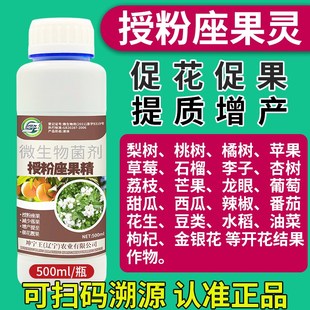 授粉坐果精保花保果药防落果坐果灵流体硼叶面肥荔枝催花授粉药