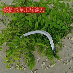 锰钢槟榔刀垂钓水草刀香椿槐花榆钱采摘修剪摘果子弯状大号镰刀