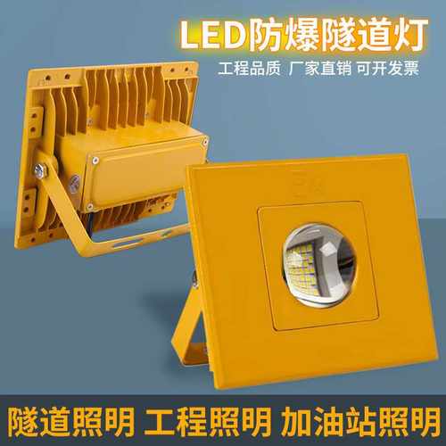 隧道灯led防爆灯仓库户外灯100W200w加油站船用低压24V 36V投光灯