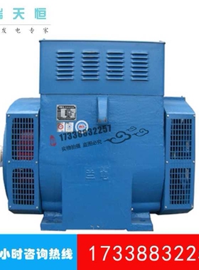 30KW40KW50KW兰电发电机62KVA船用发电机TFS/TZH/TZHW3/TFX/TFXW