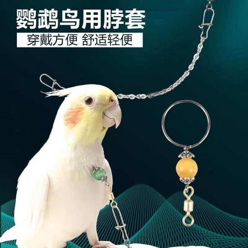 不锈钢鹦鹉脖套脖圈项链脖链环虎皮牡丹玄凤遛鸟放飞牵引绳脚链