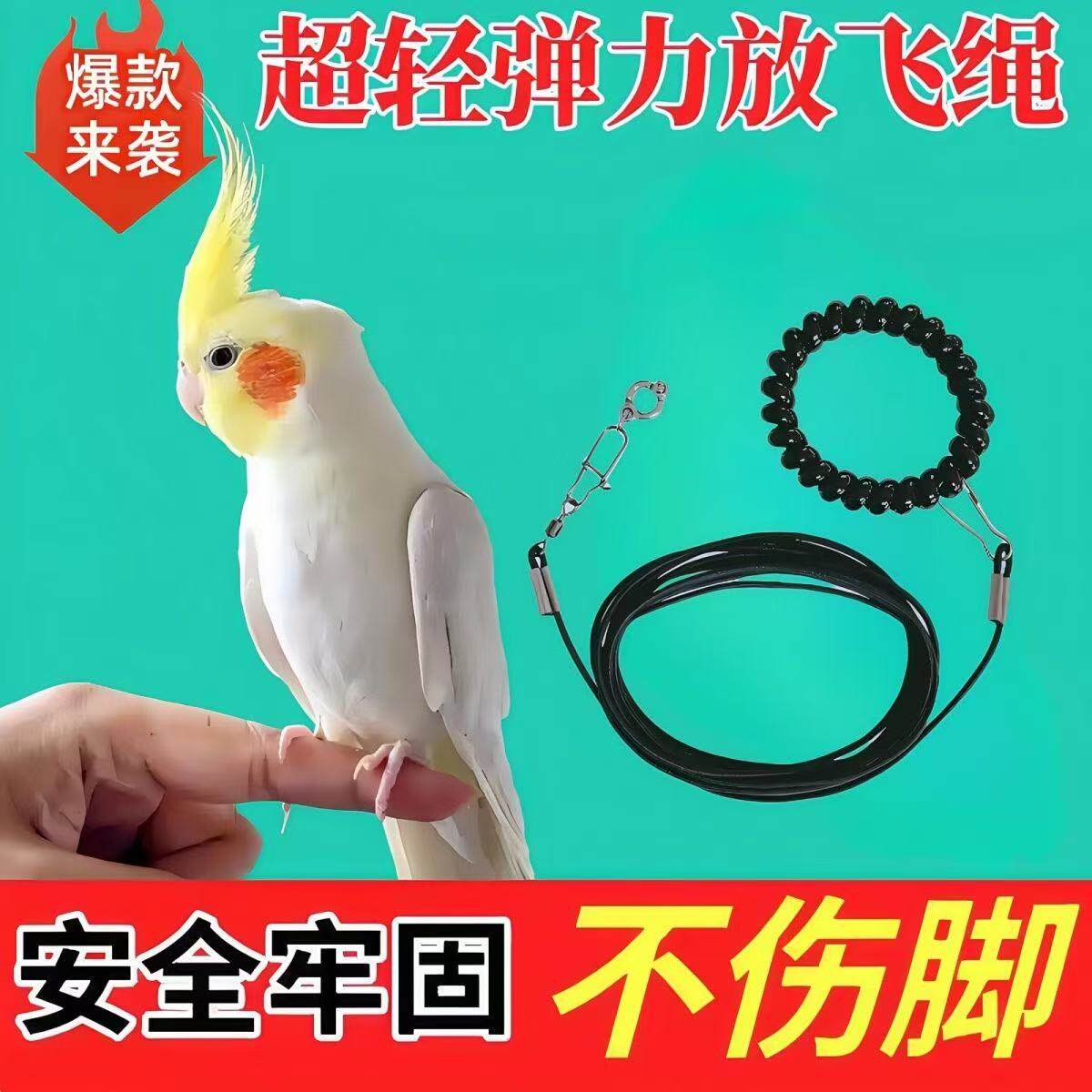 超轻鹦鹉放飞绳牵引绳外出训练绳脚链虎皮牡丹玄遛鸟弹力绳脚环