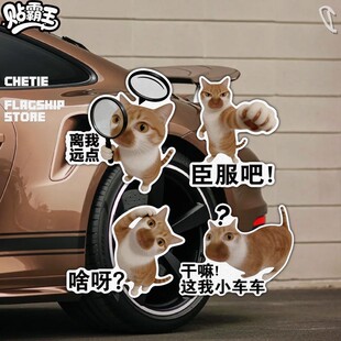 橘猫创意表情文字保持车距汽车摩托油箱反光划痕遮挡提示贴纸