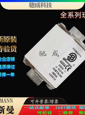 巴斯曼170M2771 170M2817 170M2818 厂价直销批零兼营 高速熔断器