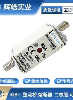 80NHG000B 快速熔断器 熔断器组成 电子元器件 辉皓实业