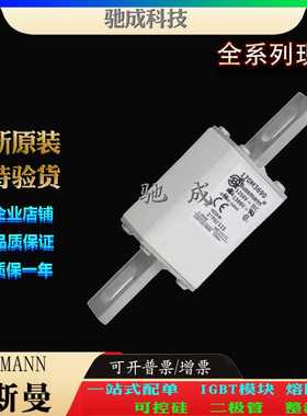 巴斯曼170M3694 170M3695 170M3696 原装进口 价优  熔断器