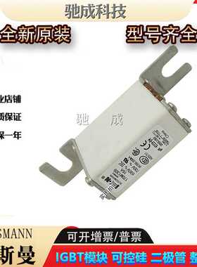 巴斯曼170M13 170M14系列 快速熔断器 现货供应品质保证欢迎咨询