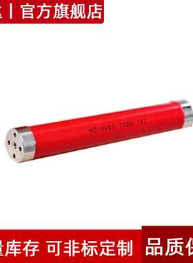 RIGWL 高压软启动器电阻 耐压电阻 均压电阻 100W 200K J 200KG