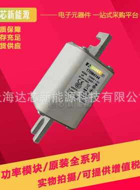 170M4108 170M4109 170M4110 170M4111 170M4112 170M4113熔断器