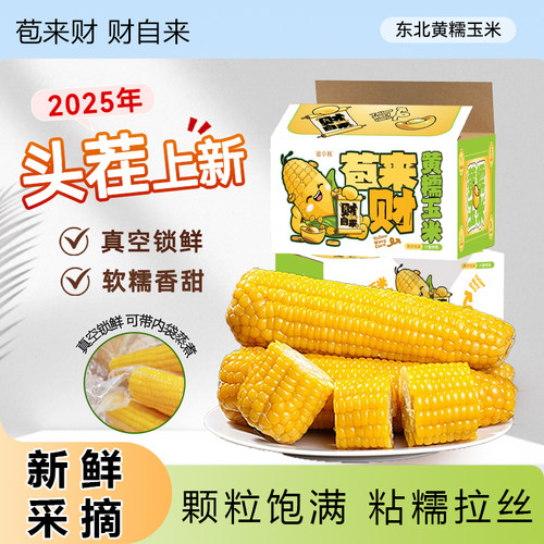 德卓秾东北甜糯玉米低脂非转基因