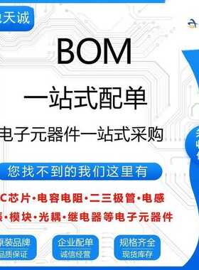 BGM123A256V2 SILICON/芯科 可BOM表配单