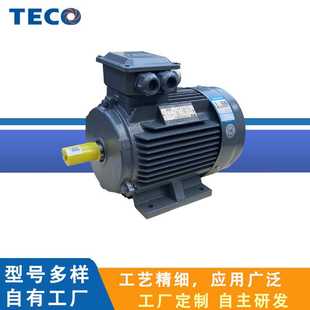 电机 功率4KW 三相异步电动机 4极 频率50HZ AEEVX3 TECO东元