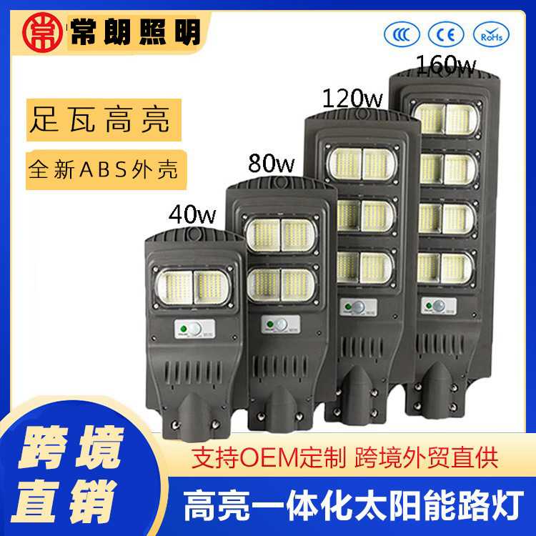 太阳能路灯古镇庭院太阳能板照明一体户外led人体感应遥控