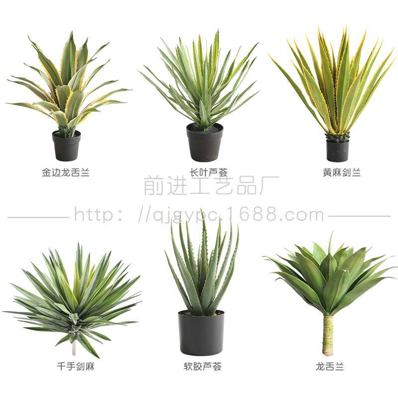 仿真芦荟龙舌兰剑麻沙生植物小棵绿植家居门店造景堆景装饰摆件