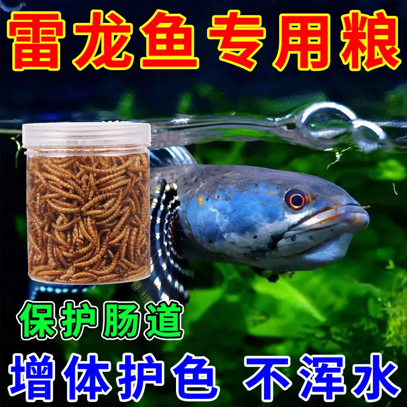 雷龙鱼增色饲料高蛋白虫干虾干七彩阿萨姆眼镜蛇黄金奶茶专用鱼食