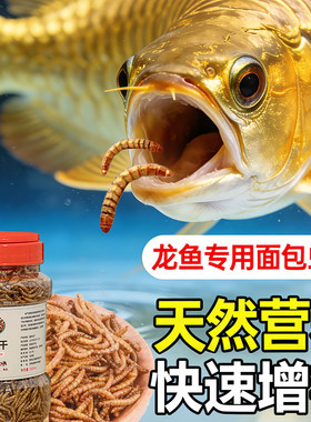 龙鱼饲料面包虫干金银龙专用鱼粮锦鲤鱼食黄粉虫干地图鱼上浮饲料