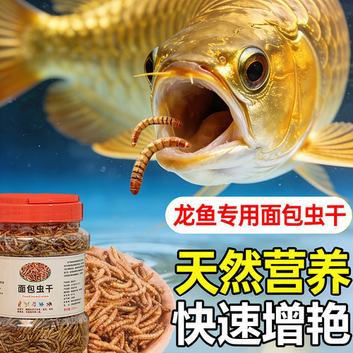 龙鱼饲料面包虫干金银龙专用鱼粮锦鲤鱼食黄粉虫干地图鱼上浮饲料