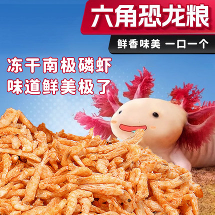 六角恐龙鱼专用饲料南极磷虾干鱼粮娃娃鱼美西螈饲料虾干专用鱼食