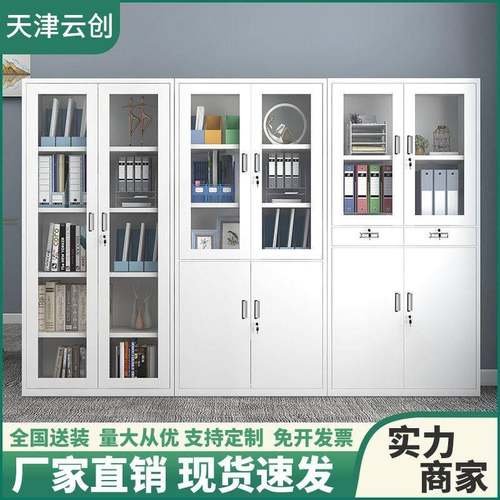 文件柜资料柜财务凭证柜带锁档案收纳柜抽屉矮柜铁皮柜厂家办公室