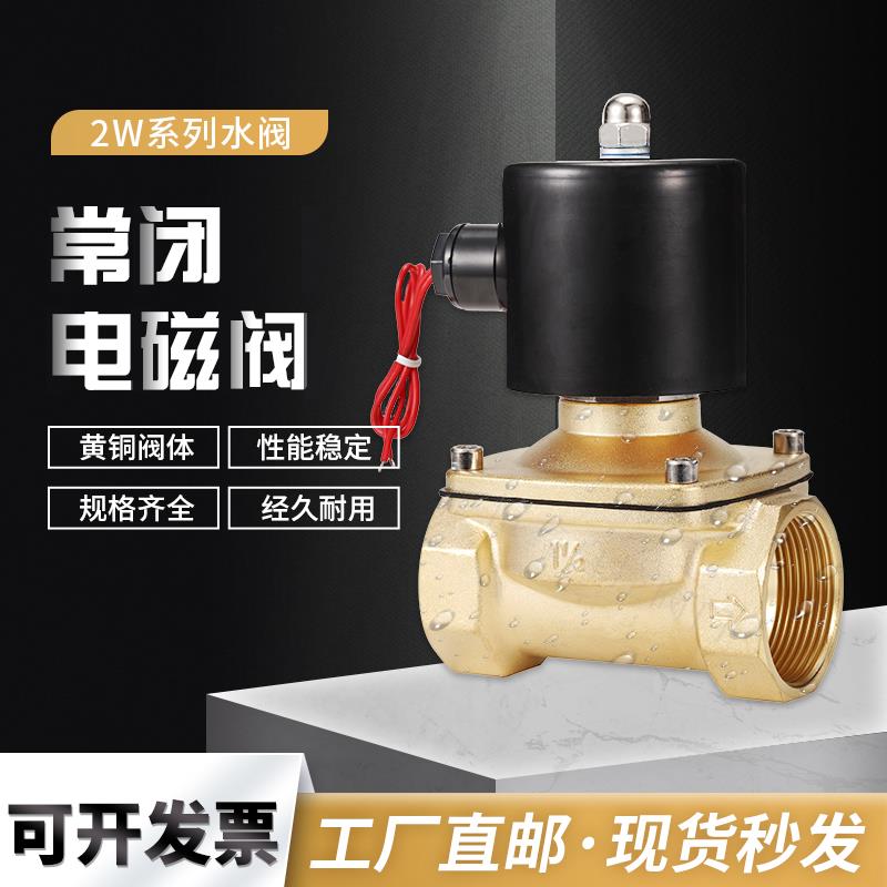 2W电磁阀水阀控制开关气阀全铜线圈AC220V DC24V DC12V 2分 4分