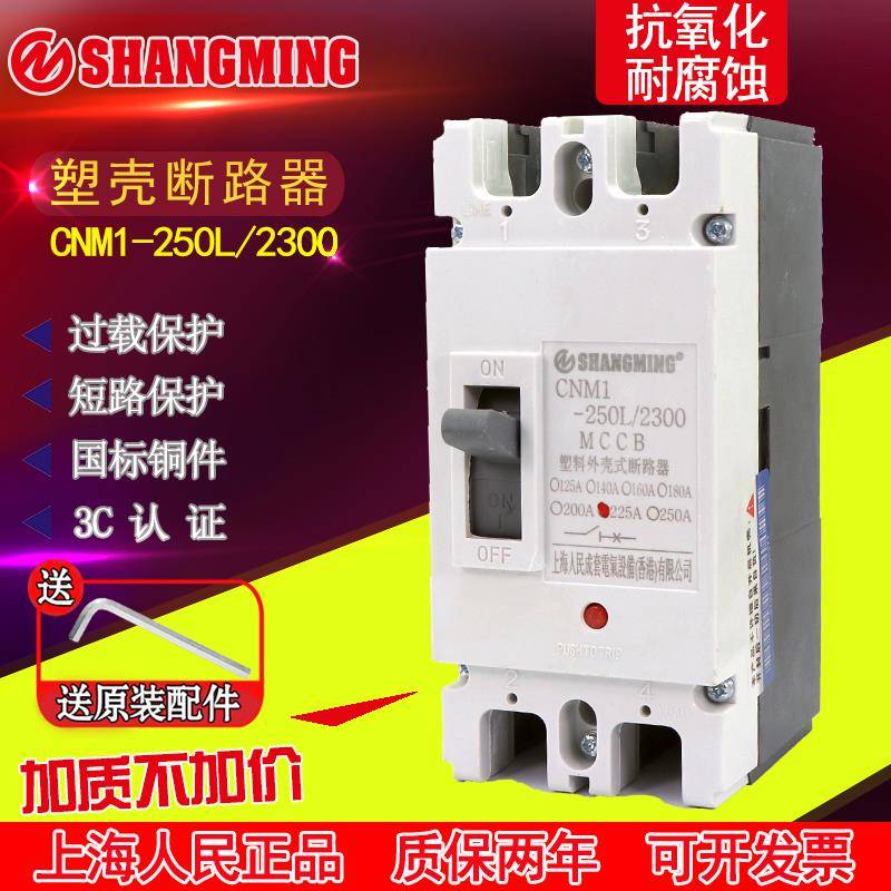 上海人民2P塑壳断路器RCM1-250A 200A空气开关160A大功率单相220V