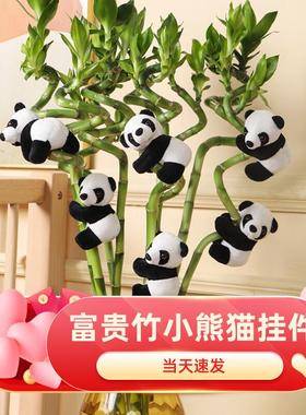 创意转运竹富贵竹熊猫夹子毛绒玩偶小公仔小挂件盆栽家居装饰成都