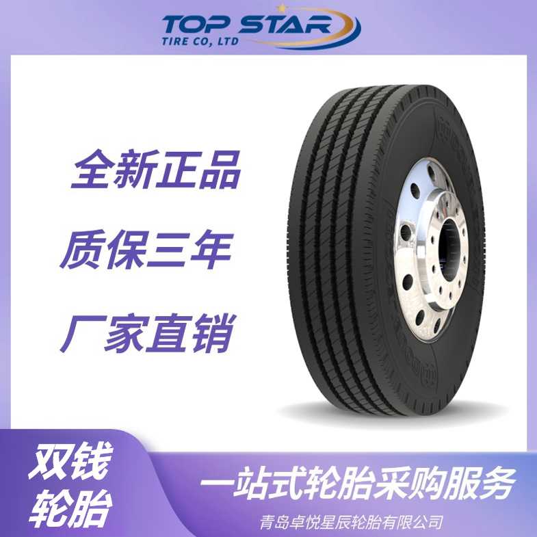双钱轮胎DOUBLECOIN 295/80R22.5 RR208花纹 卡车客车货车轮胎