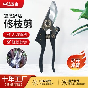 园林工具c不锈钢修枝剪园林园艺花园粗枝剪家用盆栽弯头园艺工具
