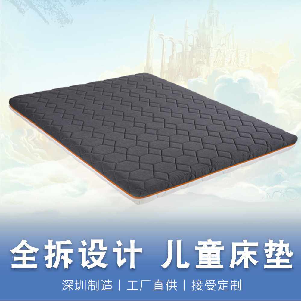 定制全拆洗儿童老人环保棕垫椰棕榻榻米床垫学生宿舍可拆洗设计
