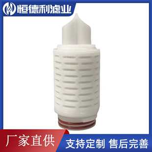 PTFE 疏水性聚四氟乙烯膜过滤滤芯5英寸除菌水滤芯