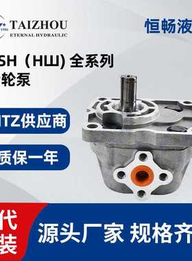 hydrosila轮式装载机自动装载机MTZ液压齿轮泵NSh100