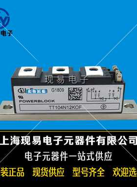 TT106N16KOF/12KOF TT106N14KOF TT106N18KOF功率可控硅模块.现货