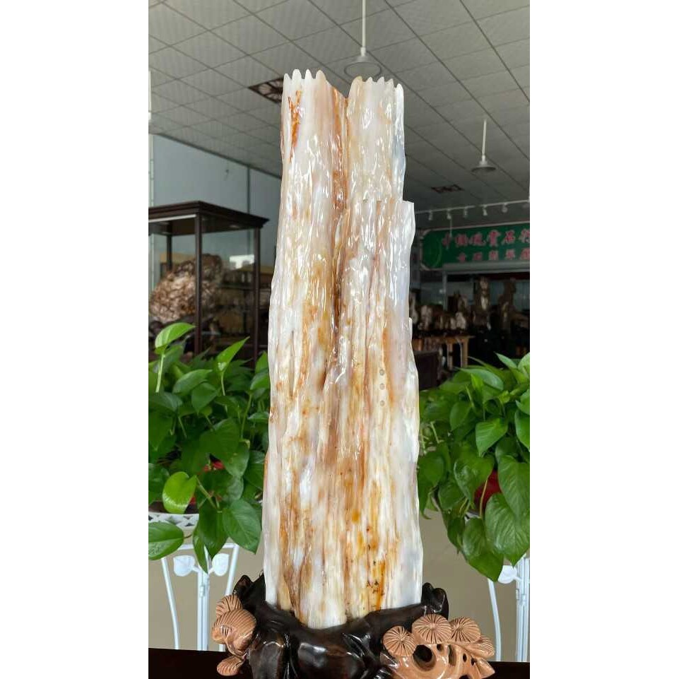石头硅化木木造型客厅缅甸冰种奇石树原石树化玉摆件绿乳白色金色