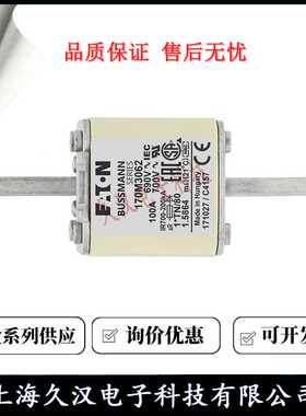 170M3062 170M3063 170M3064 170M3065 BUSSMANN 熔断器 保险丝